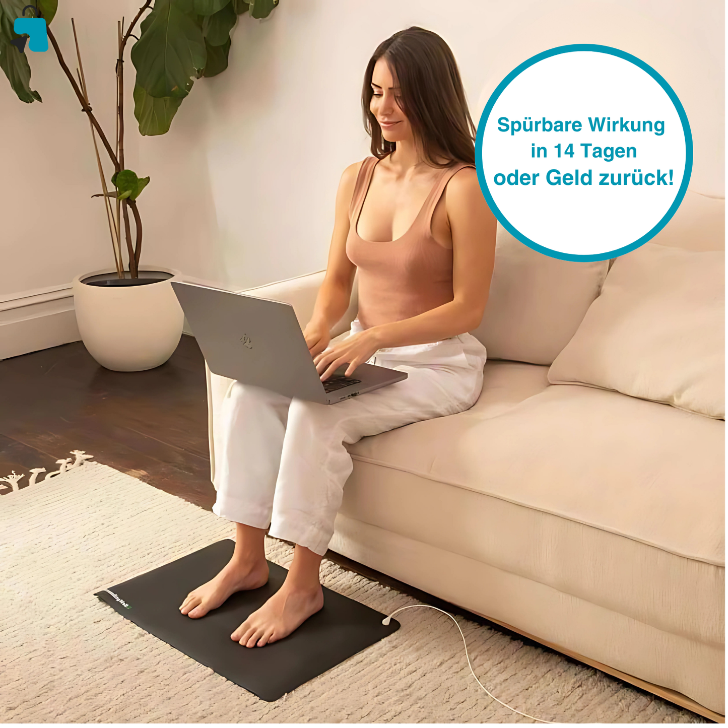 BioGround – The Original Grounding Mat