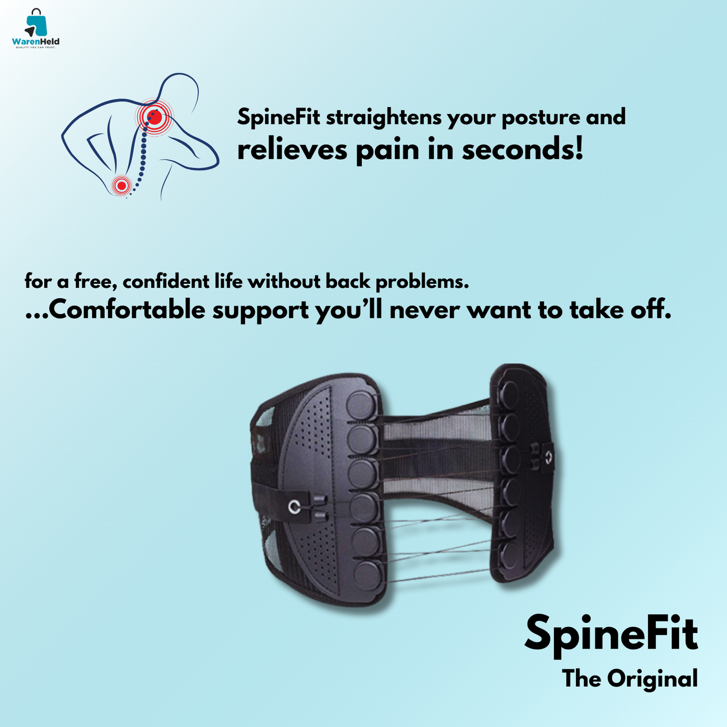SpineFit - Das Original